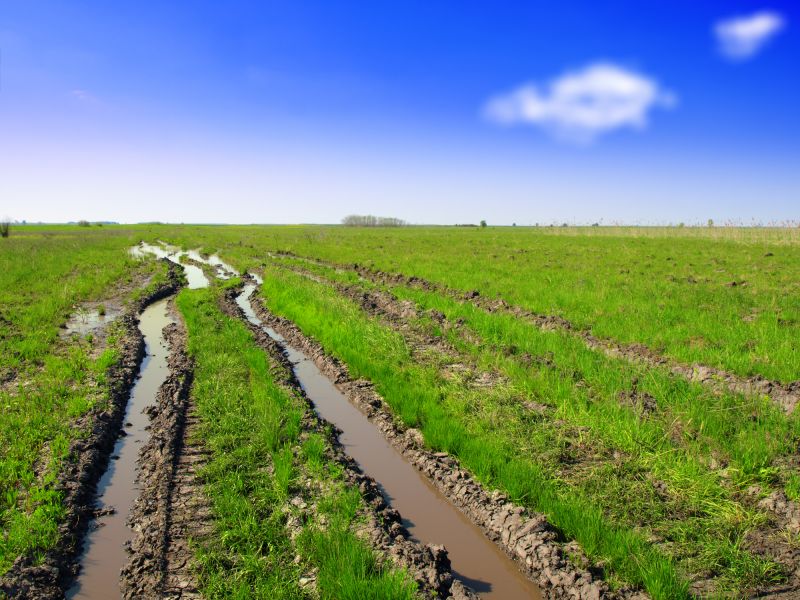 Dirt Driveway Ruts Repair